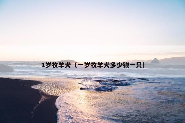 1岁牧羊犬（一岁牧羊犬多少钱一只）
