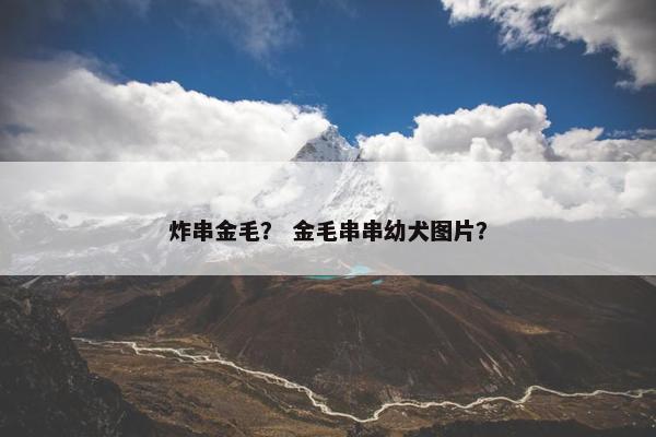炸串金毛？ 金毛串串幼犬图片？