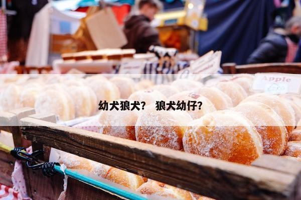 幼犬狼犬？ 狼犬幼仔？