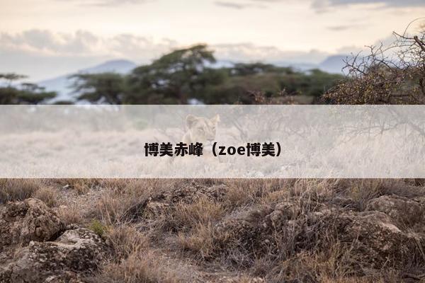 博美赤峰（zoe博美）