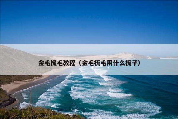金毛梳毛教程（金毛梳毛用什么梳子）