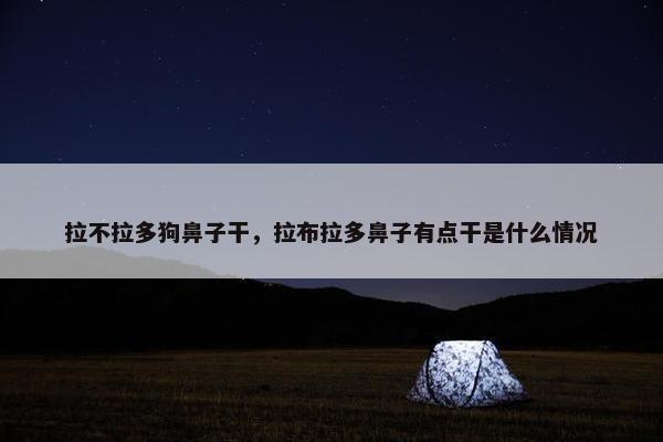 拉不拉多狗鼻子干，拉布拉多鼻子有点干是什么情况