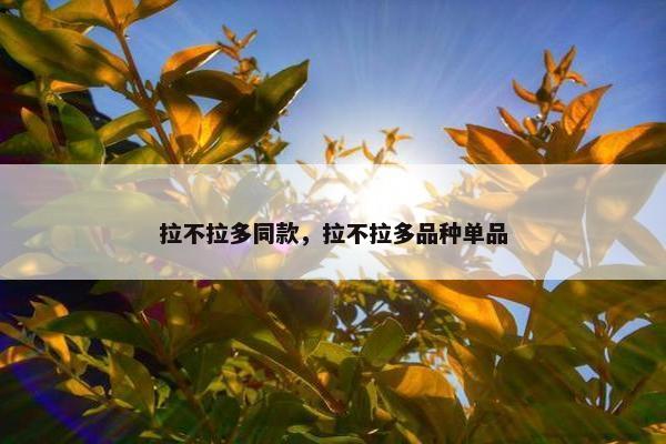 拉不拉多同款，拉不拉多品种单品