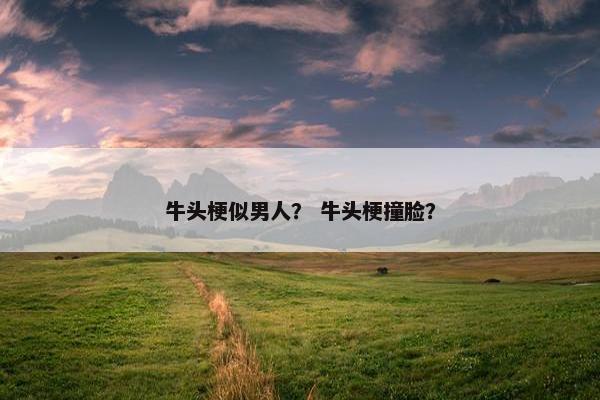 牛头梗似男人？ 牛头梗撞脸？