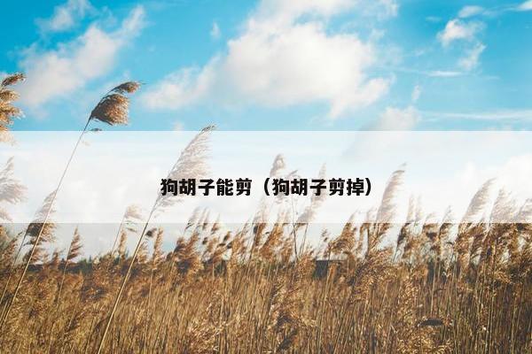 狗胡子能剪（狗胡子剪掉）