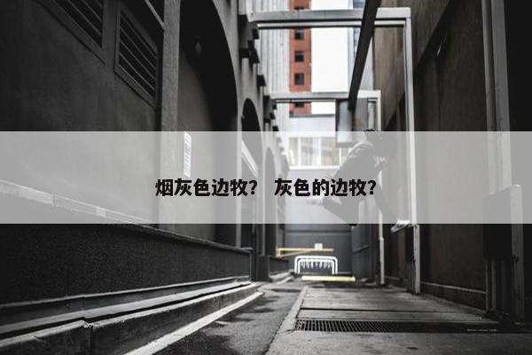 烟灰色边牧？ 灰色的边牧？