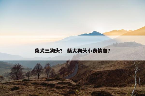 柴犬三狗头？ 柴犬狗头小表情包？