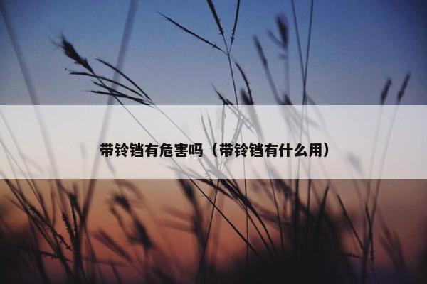 带铃铛有危害吗（带铃铛有什么用）