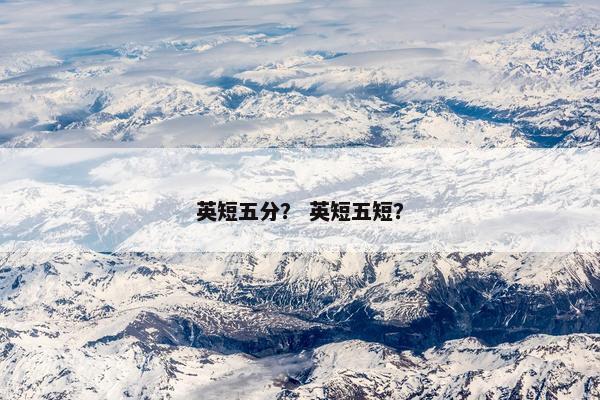 英短五分？ 英短五短？