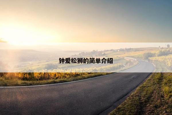 钟爱松狮的简单介绍