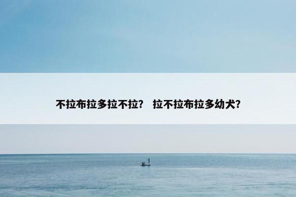 不拉布拉多拉不拉？ 拉不拉布拉多幼犬？