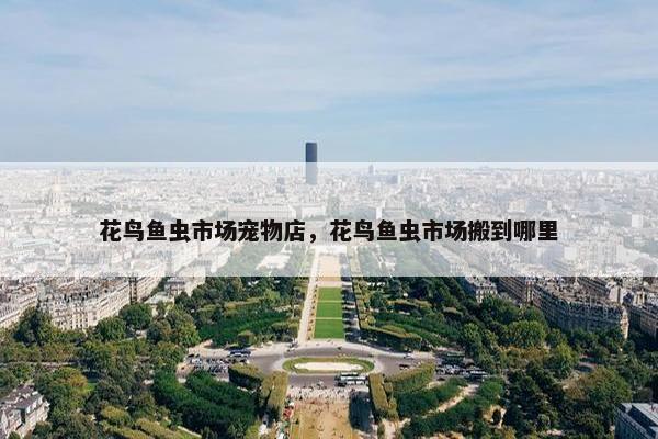 花鸟鱼虫市场宠物店，花鸟鱼虫市场搬到哪里