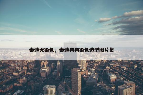 泰迪犬染色，泰迪狗狗染色造型图片集