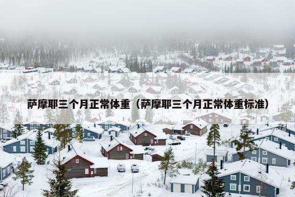 萨摩耶三个月正常体重（萨摩耶三个月正常体重标准）