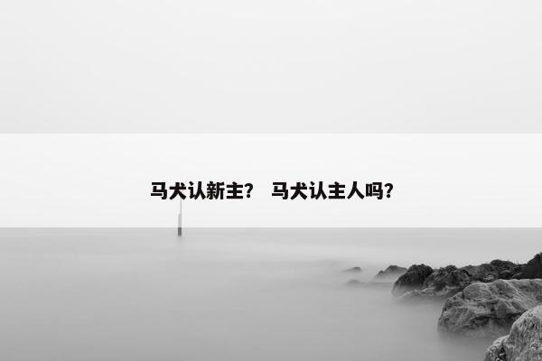 马犬认新主？ 马犬认主人吗？