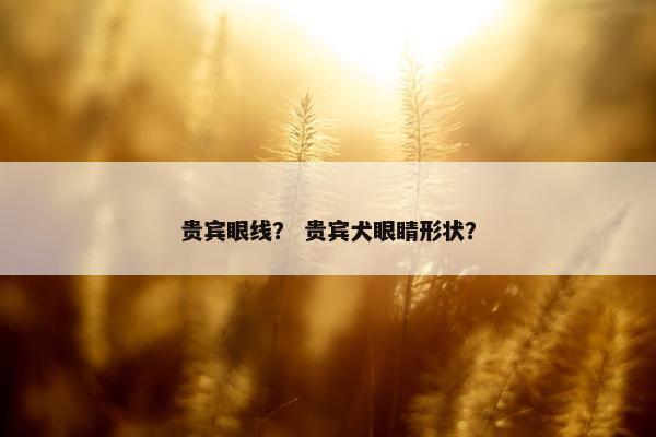 贵宾眼线？ 贵宾犬眼睛形状？