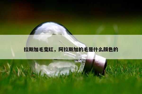 拉斯加毛变红，阿拉斯加的毛是什么颜色的
