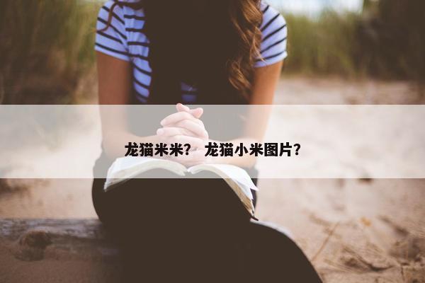 龙猫米米？ 龙猫小米图片？