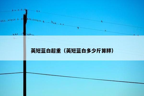 英短蓝白超重（英短蓝白多少斤算胖）