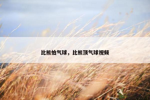 比熊怕气球，比熊顶气球视频