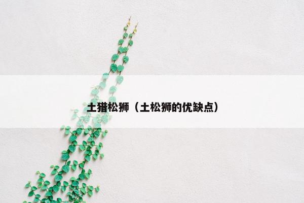 土猎松狮（土松狮的优缺点）