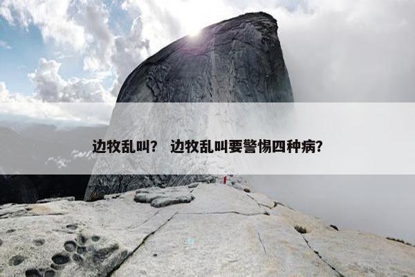 边牧乱叫？ 边牧乱叫要警惕四种病？