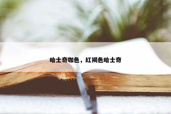 哈士奇咖色，红褐色哈士奇