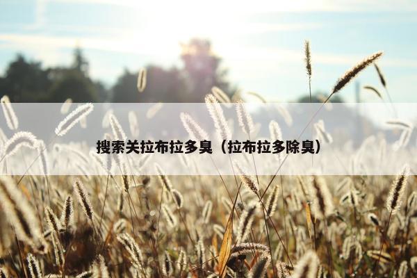 搜索关拉布拉多臭（拉布拉多除臭）