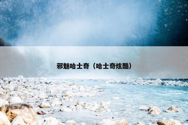 邪魅哈士奇（哈士奇炫酷）
