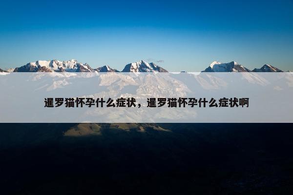 暹罗猫怀孕什么症状，暹罗猫怀孕什么症状啊