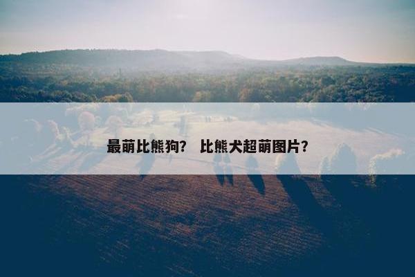 最萌比熊狗？ 比熊犬超萌图片？