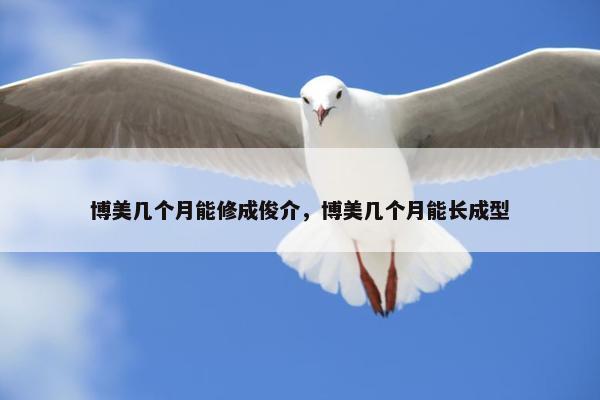 博美几个月能修成俊介，博美几个月能长成型