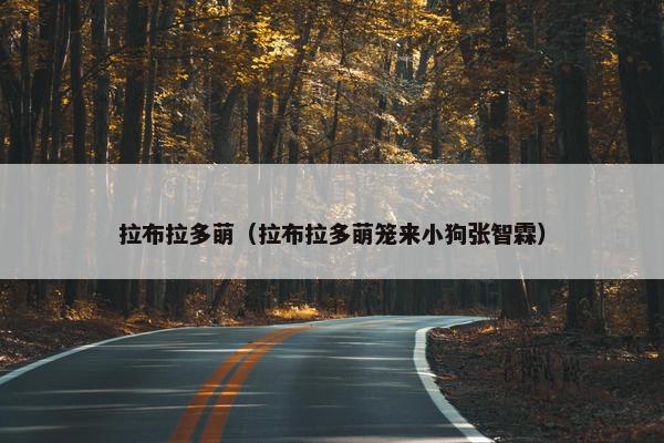 拉布拉多萌（拉布拉多萌笼来小狗张智霖）