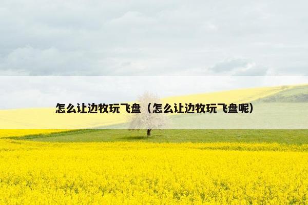 怎么让边牧玩飞盘（怎么让边牧玩飞盘呢）