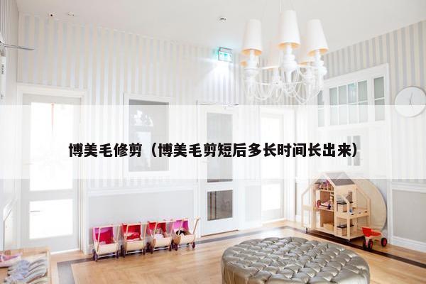 博美毛修剪（博美毛剪短后多长时间长出来）