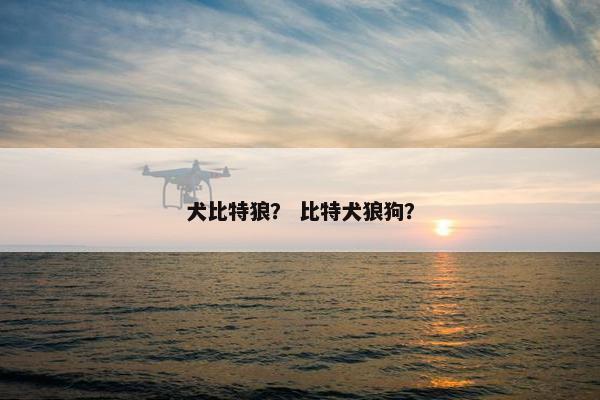 犬比特狼？ 比特犬狼狗？