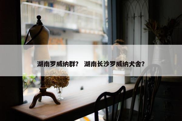 湖南罗威纳群？ 湖南长沙罗威纳犬舍？