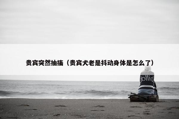 贵宾突然抽搐（贵宾犬老是抖动身体是怎么了）