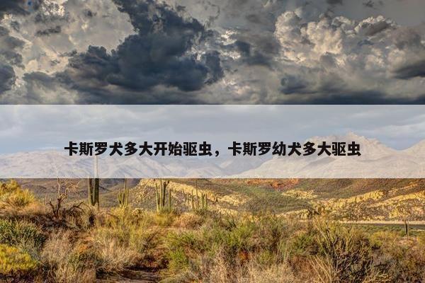 卡斯罗犬多大开始驱虫，卡斯罗幼犬多大驱虫
