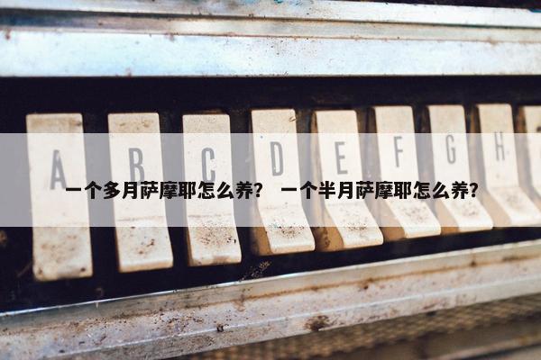 一个多月萨摩耶怎么养？ 一个半月萨摩耶怎么养？
