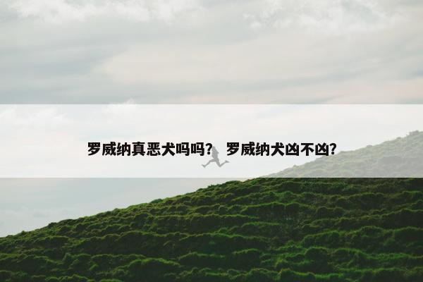 罗威纳真恶犬吗吗？ 罗威纳犬凶不凶？