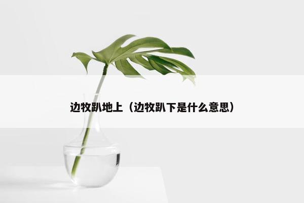 边牧趴地上（边牧趴下是什么意思）