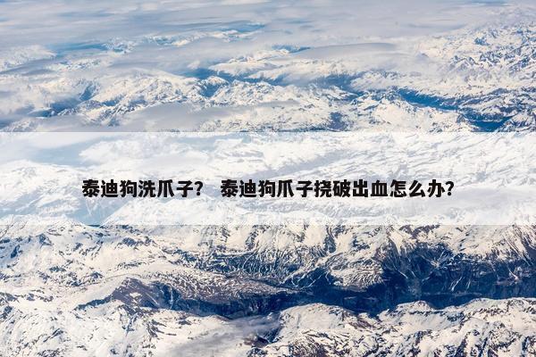 泰迪狗洗爪子？ 泰迪狗爪子挠破出血怎么办？