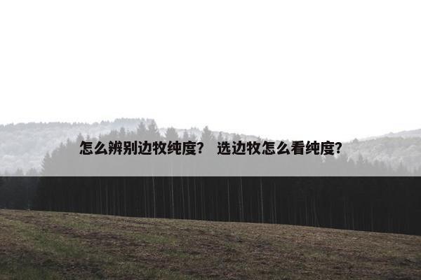 怎么辨别边牧纯度？ 选边牧怎么看纯度？