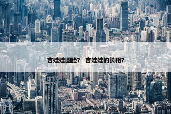 吉娃娃圆脸？ 吉娃娃的长相？