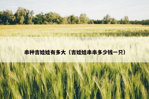 串种吉娃娃有多大（吉娃娃串串多少钱一只）