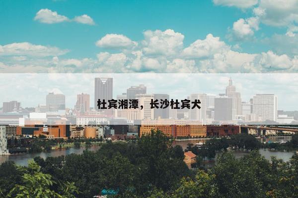杜宾湘潭，长沙杜宾犬