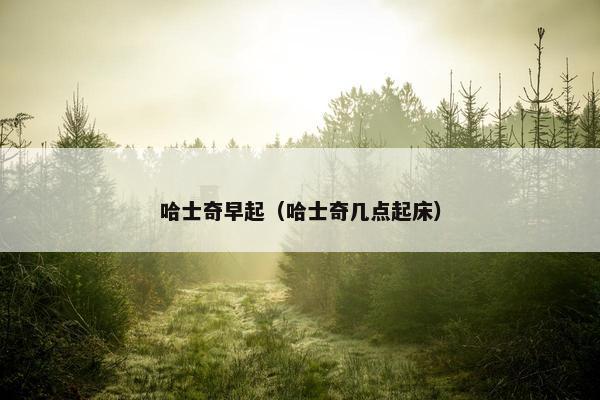 哈士奇早起（哈士奇几点起床）