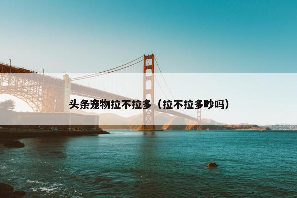 头条宠物拉不拉多（拉不拉多吵吗）