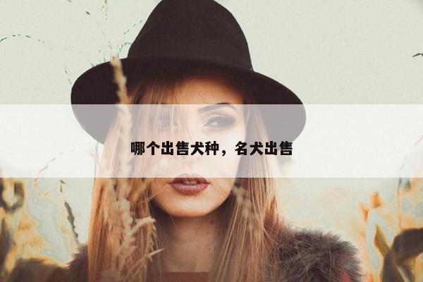 哪个出售犬种，名犬出售